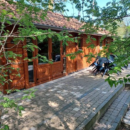 Knusse Blokhut Op Groot En Groen Perceel @ Veluwe Epe Exterior photo